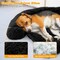 Plush Calming Dog Couch Bed with Removable and Washable Zipper Cover